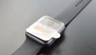 apple watch invisible guard